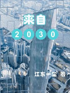 来自2030年的预言家